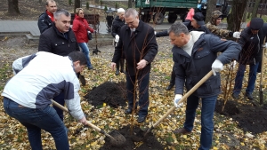 Депутаты и молодогвардейцы посадили березы в Ставрополе