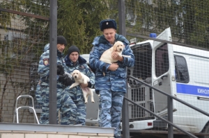 В Ставрополе к воспитанникам детдома нагрянула полиция с собаками