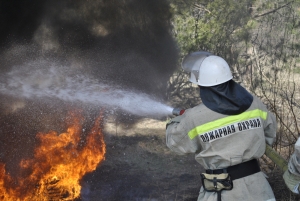 На Ставрополье за сутки пожарные выезжали на тушение мусора и травы 24 раза