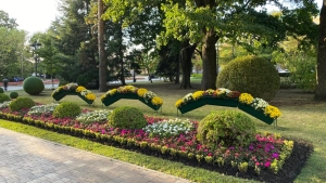 Вандалы испортили цветник в историческом центре Ставрополя