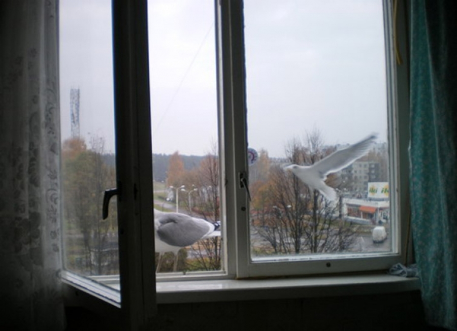 Выпавший из окна житель Ставрополя отказался от госпитализации