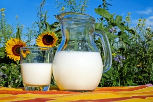 На Ставрополье разработают молочные продукты, восстанавливающие после ковида