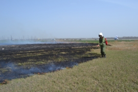В Ставрополе сухую траву выжигают планово во избежание пожаров