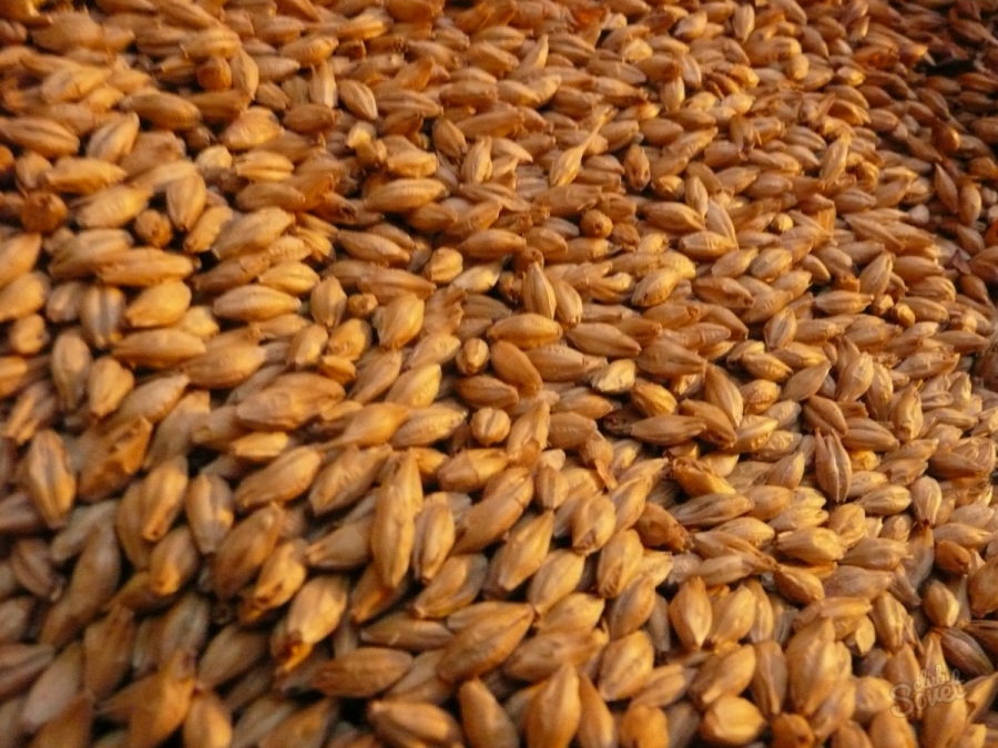 В Ставрополе выявили факт крупного мошенничества при продаже пшеницы