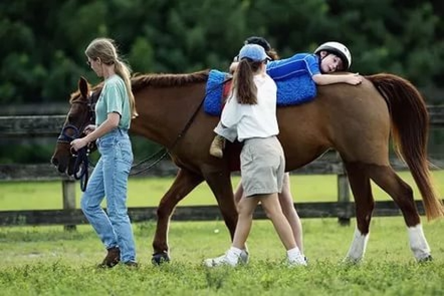 На Ставрополье детей с ДЦП станут лечить лошади