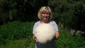 Жительница Невинномысска вырастила гигантский гриб