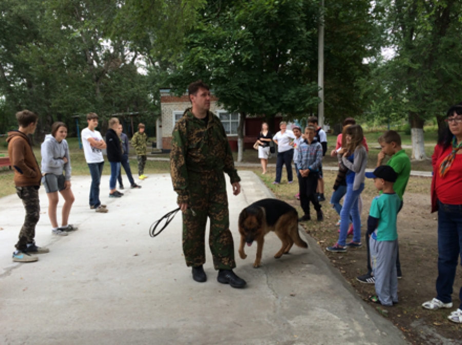 На Ставрополье в операции «Дети России» задействовали более 11 тысяч несовершеннолетних