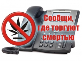 Ставрополь присоединился к антинаркотической акции «Сообщи, где торгуют смертью»
