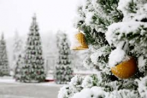 Ставрополь попрощается со сказочным лесом на площади Ленина 15 января