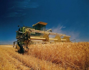Уборка зерновых на Ставрополье набрала обороты
