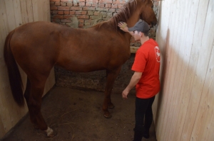 На Ставрополье казаки из коня сделали блогера
