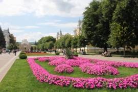 На улицах Кисловодска весной распустятся свыше 400 тысяч цветов