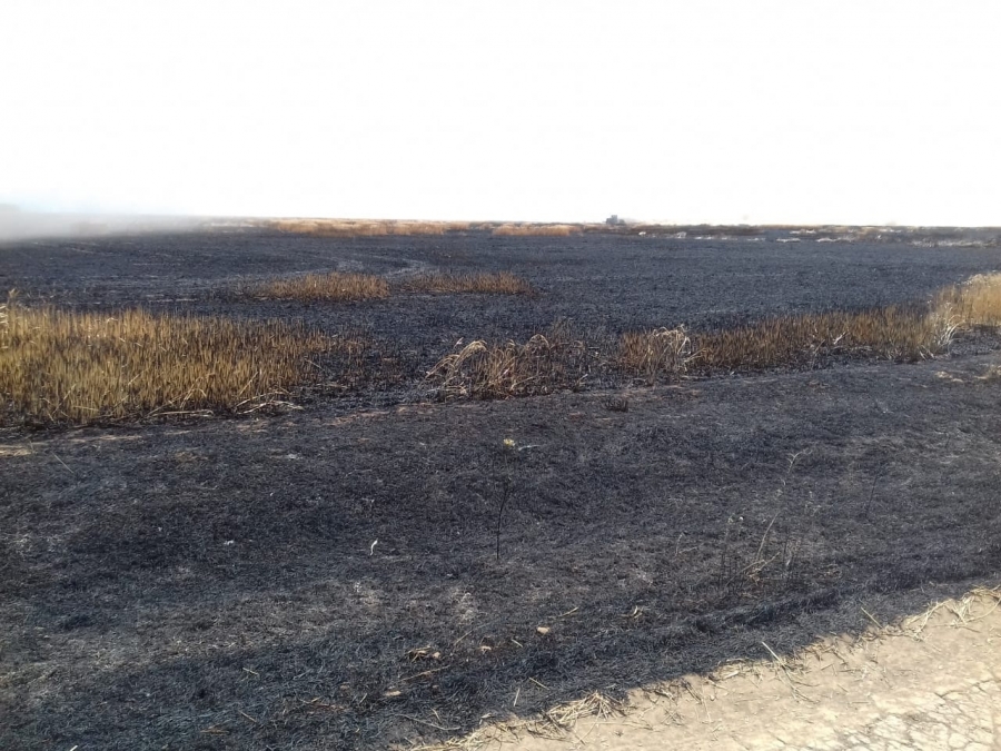 Спасатели на Ставрополье потушили 20 гектаров пшеничного поля