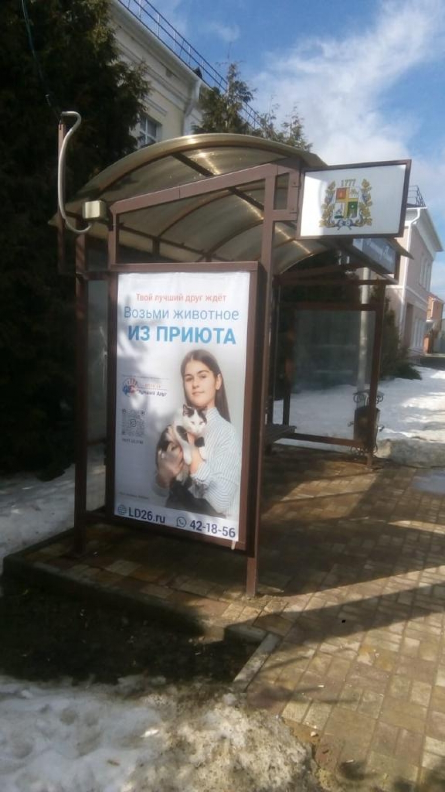 В Ставрополе начала действовать всероссийская программа для безнадзорных животных