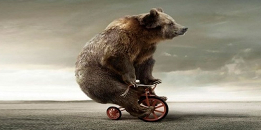 День рождения Невинномысска украсят Покровская ярмарка и велоквест «Медведи на велосипеде»