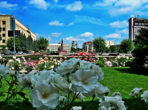 Ставрополь – город роз