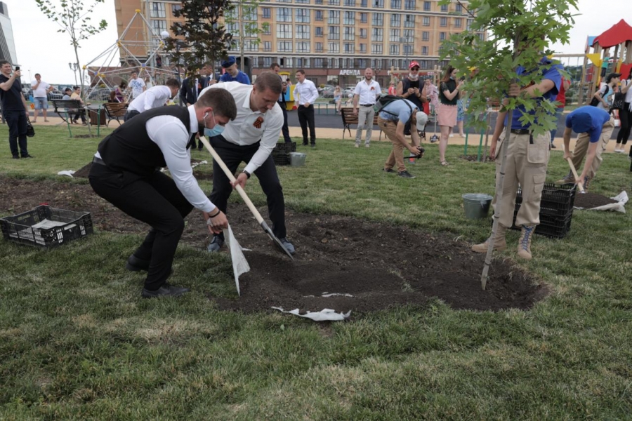 В Ставрополе в сквере 75-летия Победы высадили новые деревья