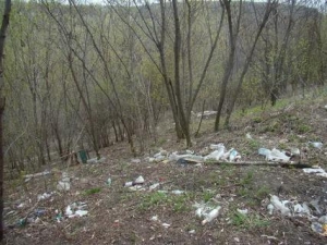 Подножье горы Баран очистили от мусора