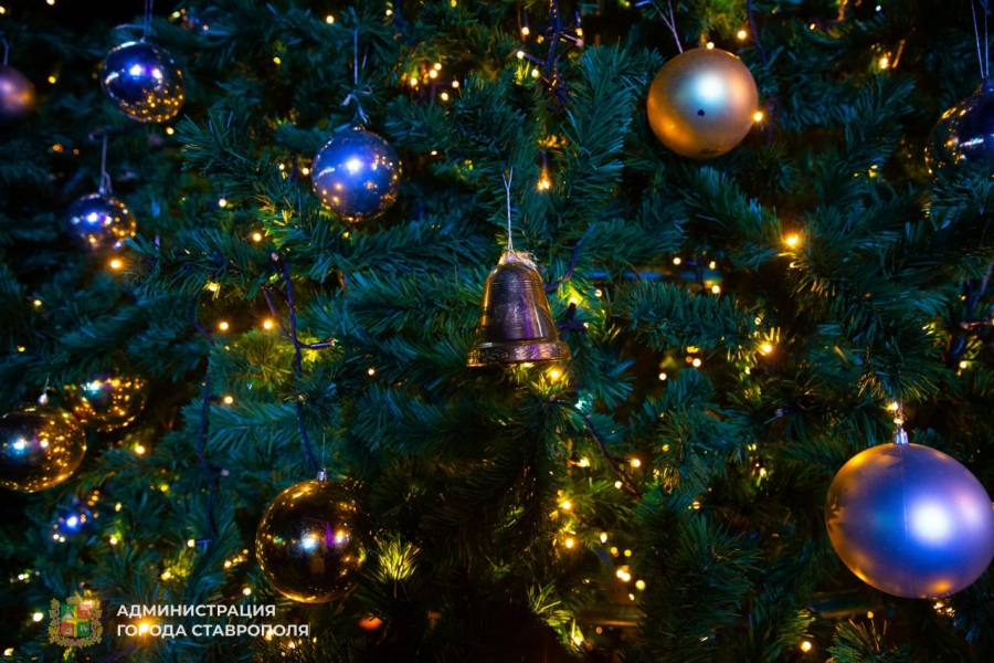В Ставрополе новогодние подарки от главы города начнут выдавать с 18 декабря