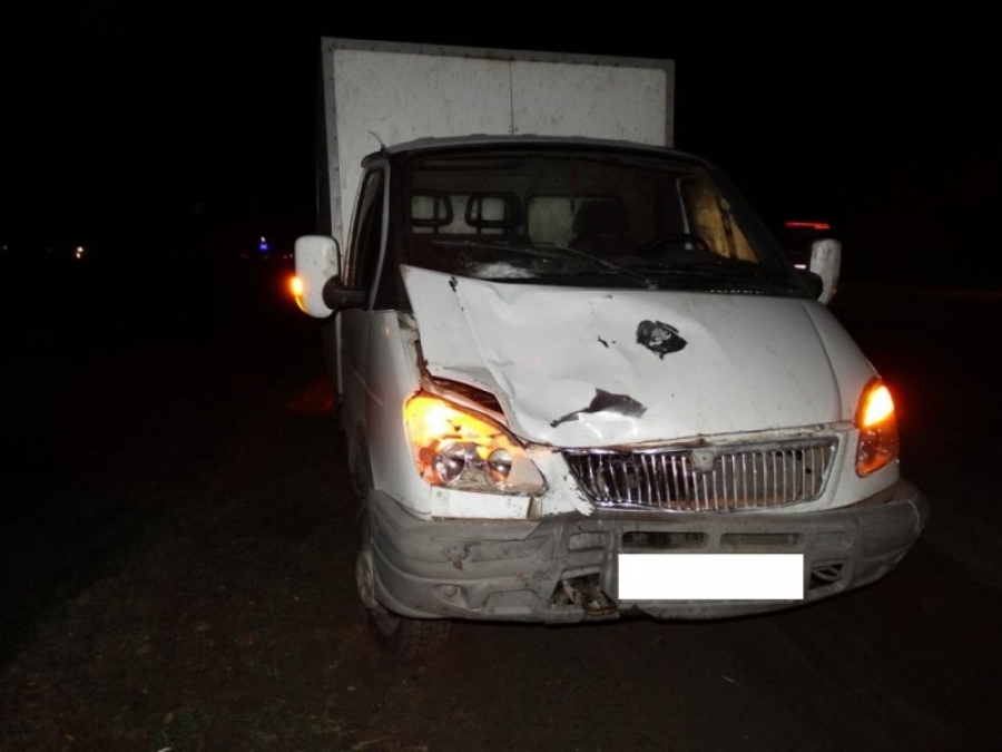 На Ставрополье женщина-пешеход погибла под колесами грузовика