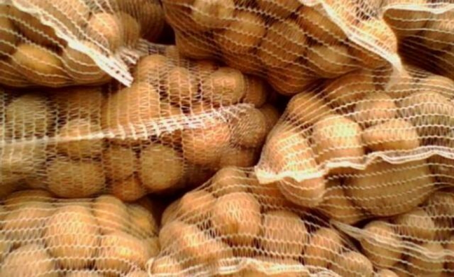 В России введен запрет на ввоз картофеля с Украины