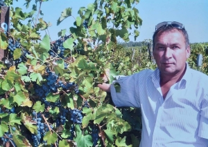 Директор виноградарского предприятия края за 3 года добился улучшения качества вина