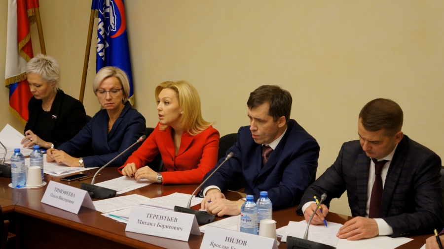 Депутат Госдумы от Ставрополья заявила о необходимости условий для самореализации людей с ОВЗ
