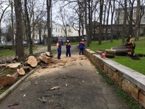 В Ставрополе приступили к устранению последствий ураганного ветра