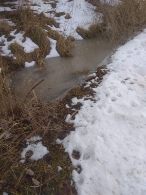 Коммунальщики Невинномысска решили проблему подтопления водостоков