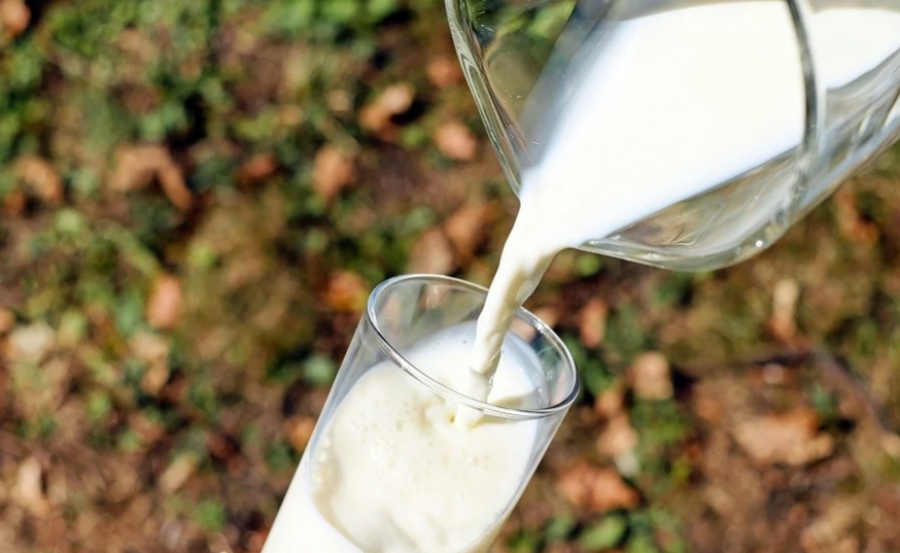 Более полумиллиарда рублей инвестируют в производство молочной продукции в Предгорном округе