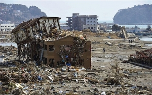 В Японии к хозяевам вернулась пропавшая после землетрясения 2011 года кошка