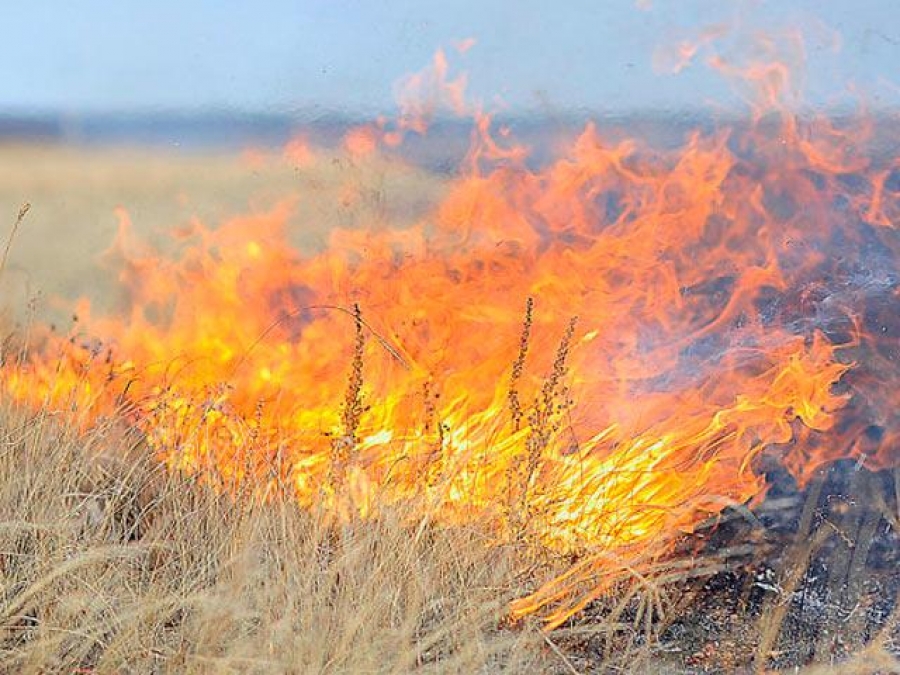 Пожар в Левокумском районе едва не уничтожил посевы хлеба