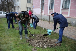 Ставрополь украсили еще 140 новых деревьев