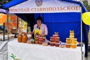 Экологически чистые продукты в ассортименте предложат жителям Ставрополя
