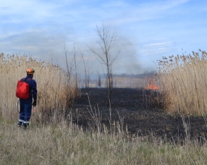 Под жёстким контролем пожарных в Ставрополе выжгли 3 гектара сухой травы